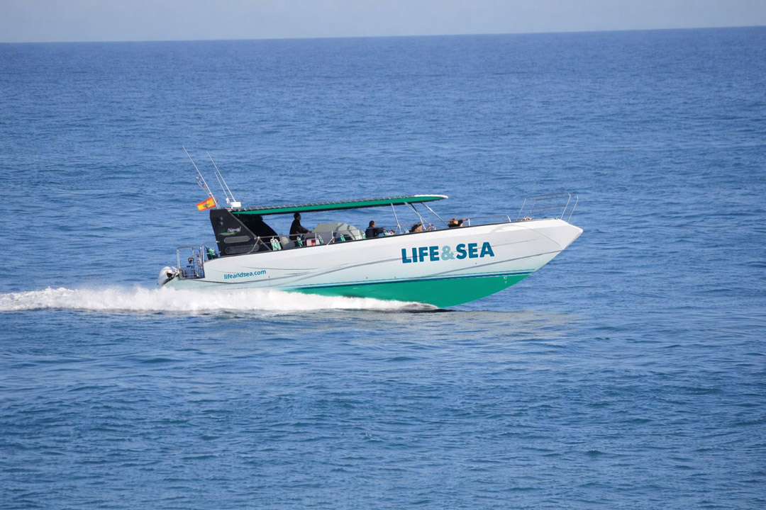 Excursión en Barco a Cabrera desde Playa de Palma