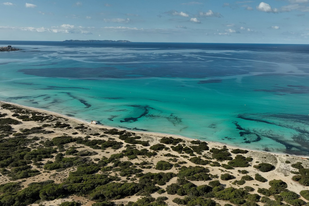 Taxi Barco a Es Trenc Taxi Barco a Es Trenc