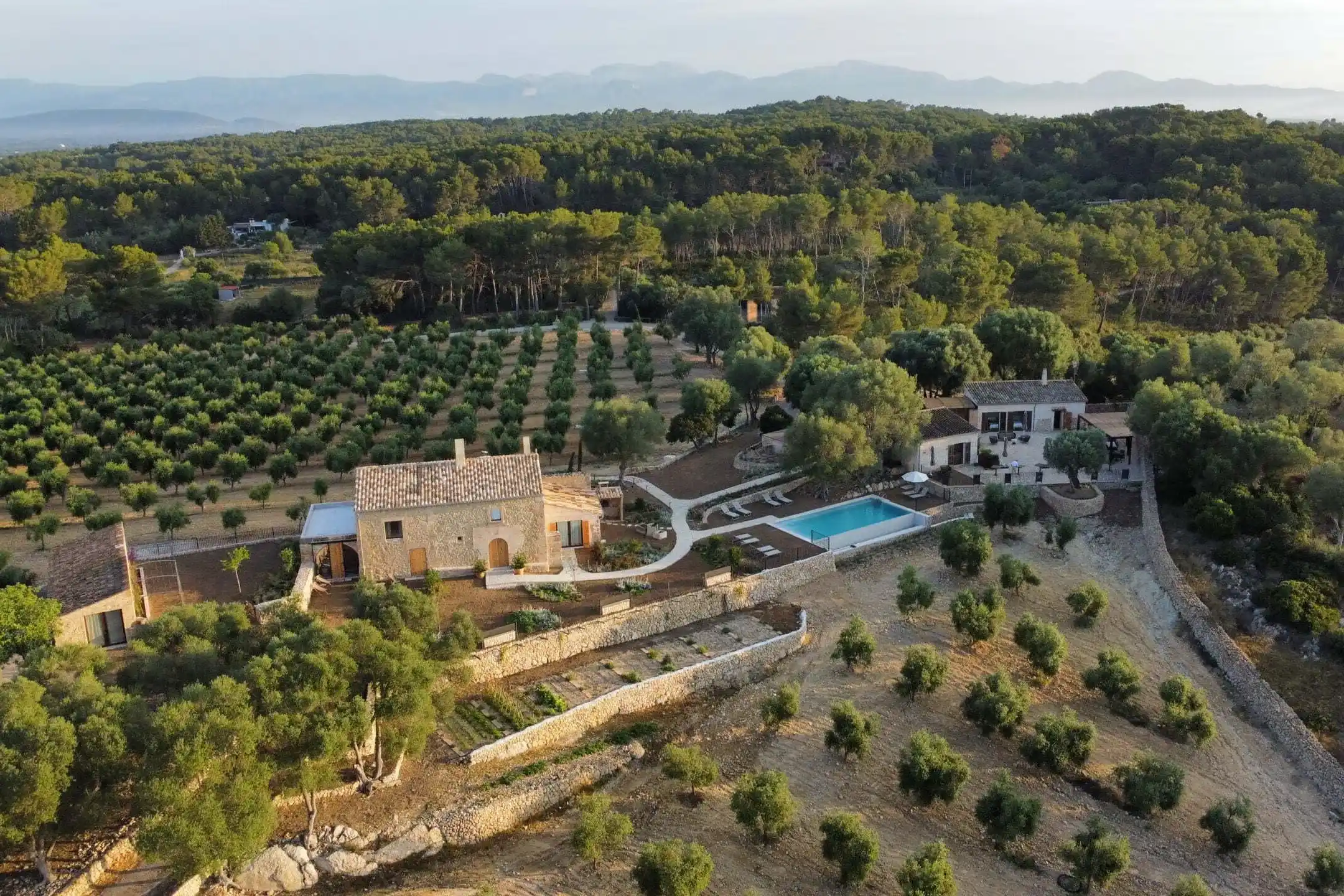 An aerial view of a rustic country estate with stone houses, a swimming pool, and an olive grove under soft light. An aerial view of a rustic country estate with stone houses, a swimming pool, and an olive grove under soft light.