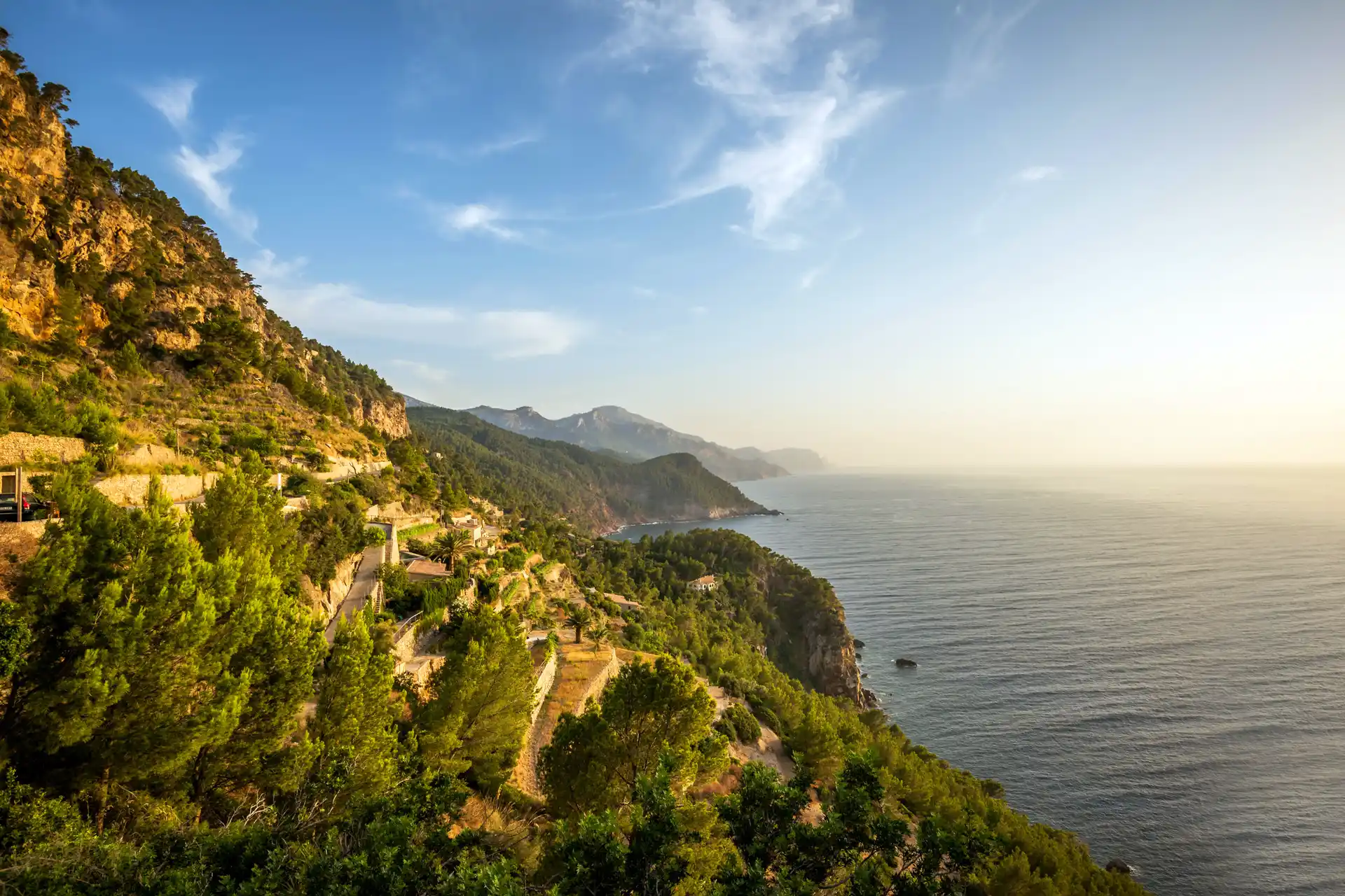 Scenic coastal cliffs covered in green trees overlooking the blue Mediterranean Sea at sunset in Mallorca.