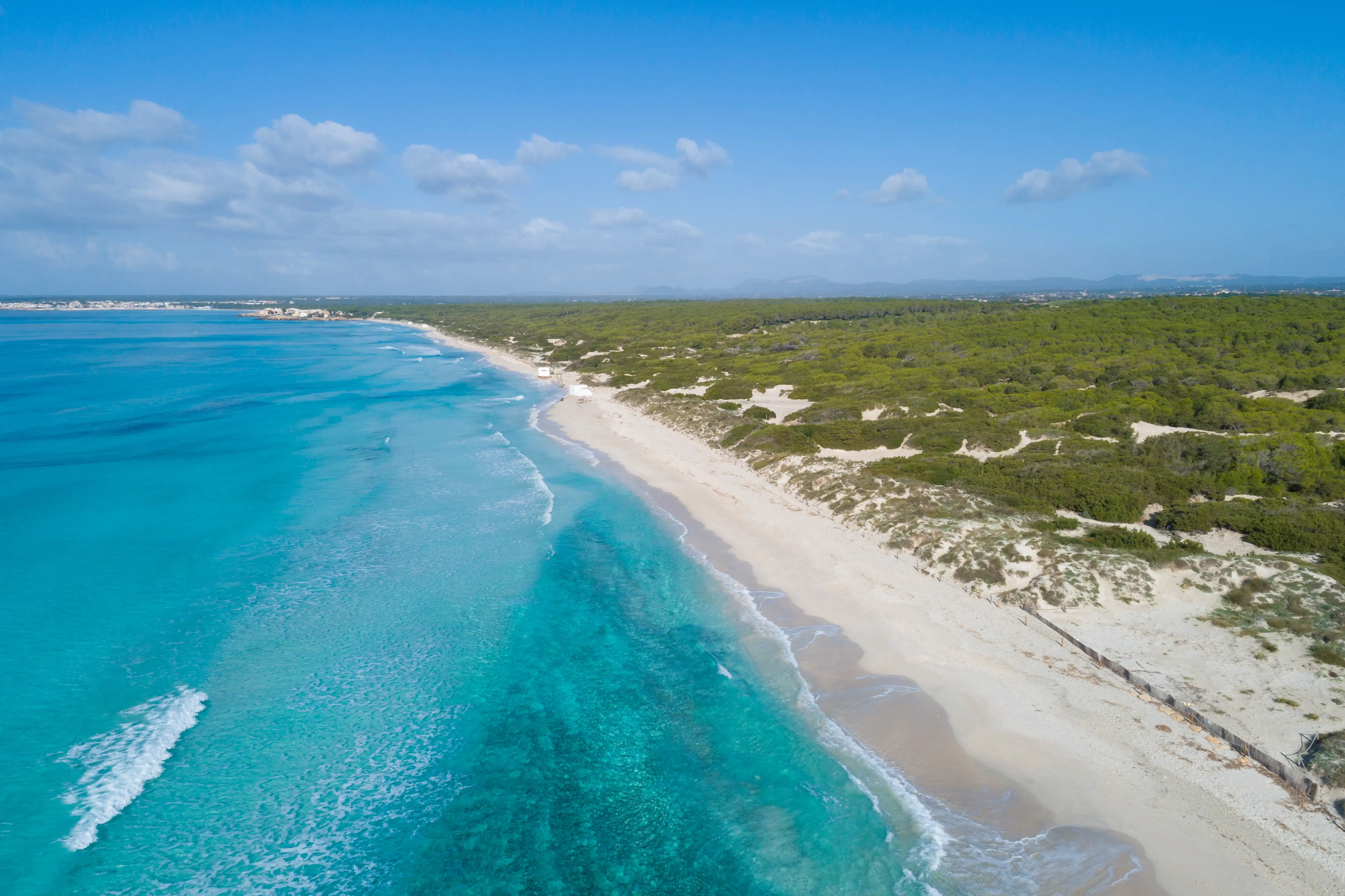 A high aerial view of Es Trenc beach with its long white sand shore, crystal clear turquoise water and dense green forest.
