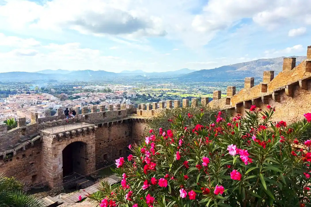 A view from stone castle walls with pink flowers, overlooking a valley town and distant mountains.