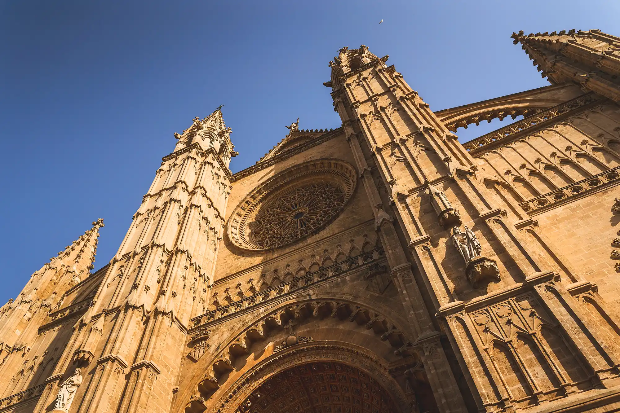 Low-angle view of a majestic Gothic cathedral facade with intricate stone carvings and a large rose window against a blue sky.