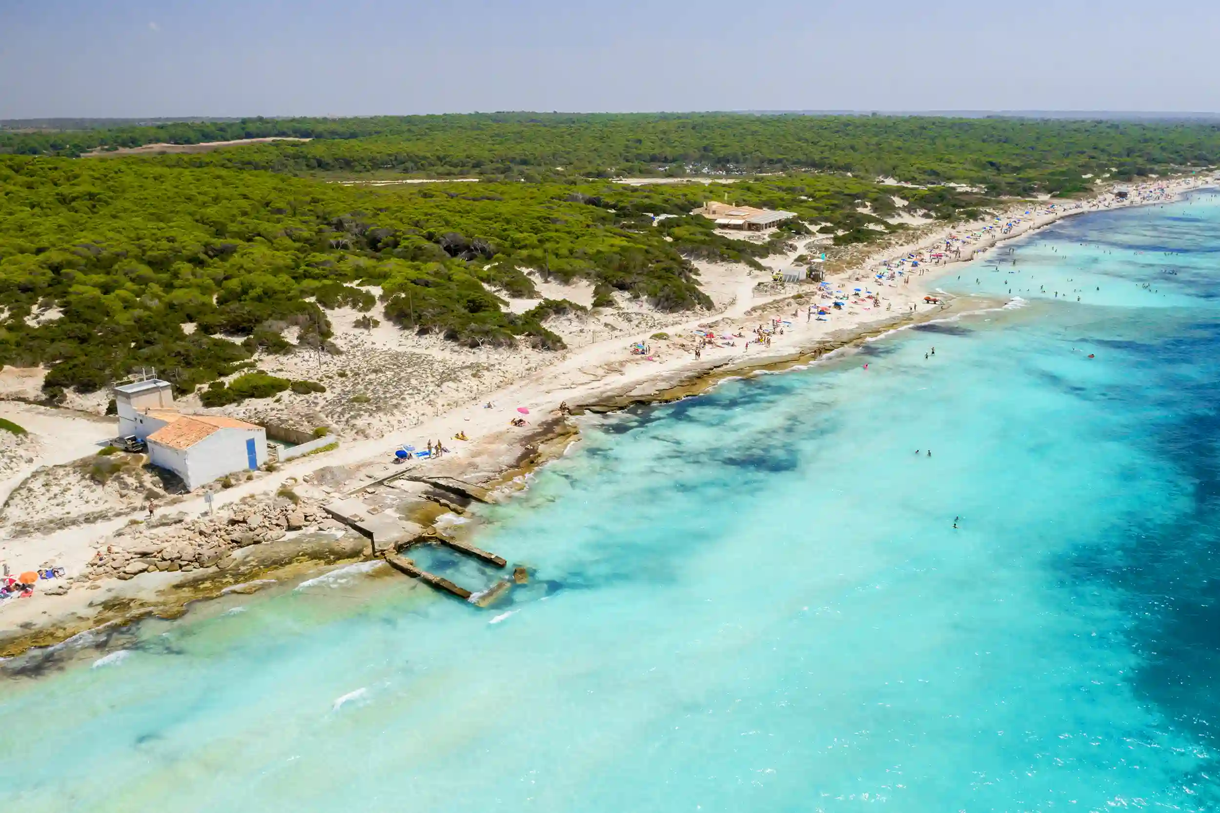 An aerial drone view of Es Trenc beach with crystal clear turquoise water, white sand, and a lush green pine forest in Mallorca.