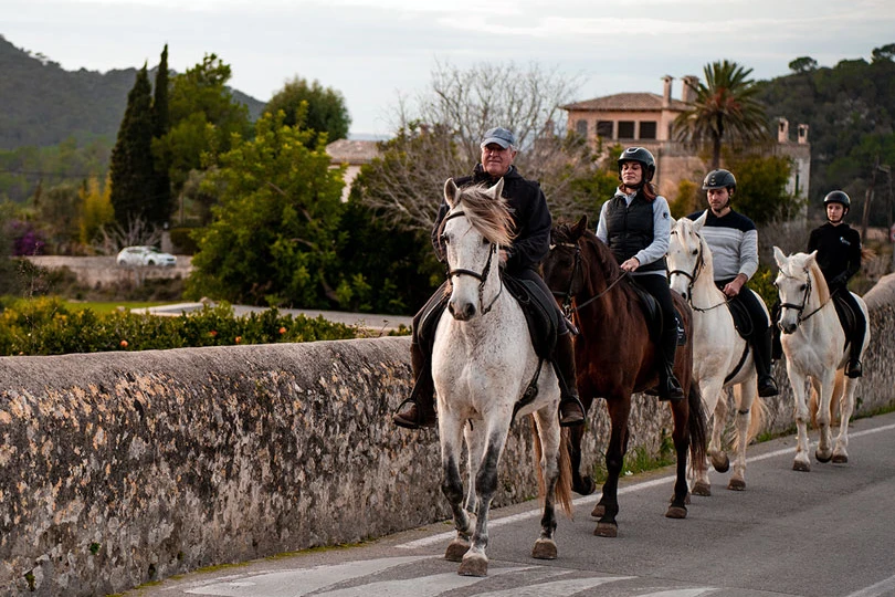 A group of people on a horse riding tour walking in a line along an asphalt road next to a stone wall. A group of people on a horse riding tour walking in a line along an asphalt road next to a stone wall.