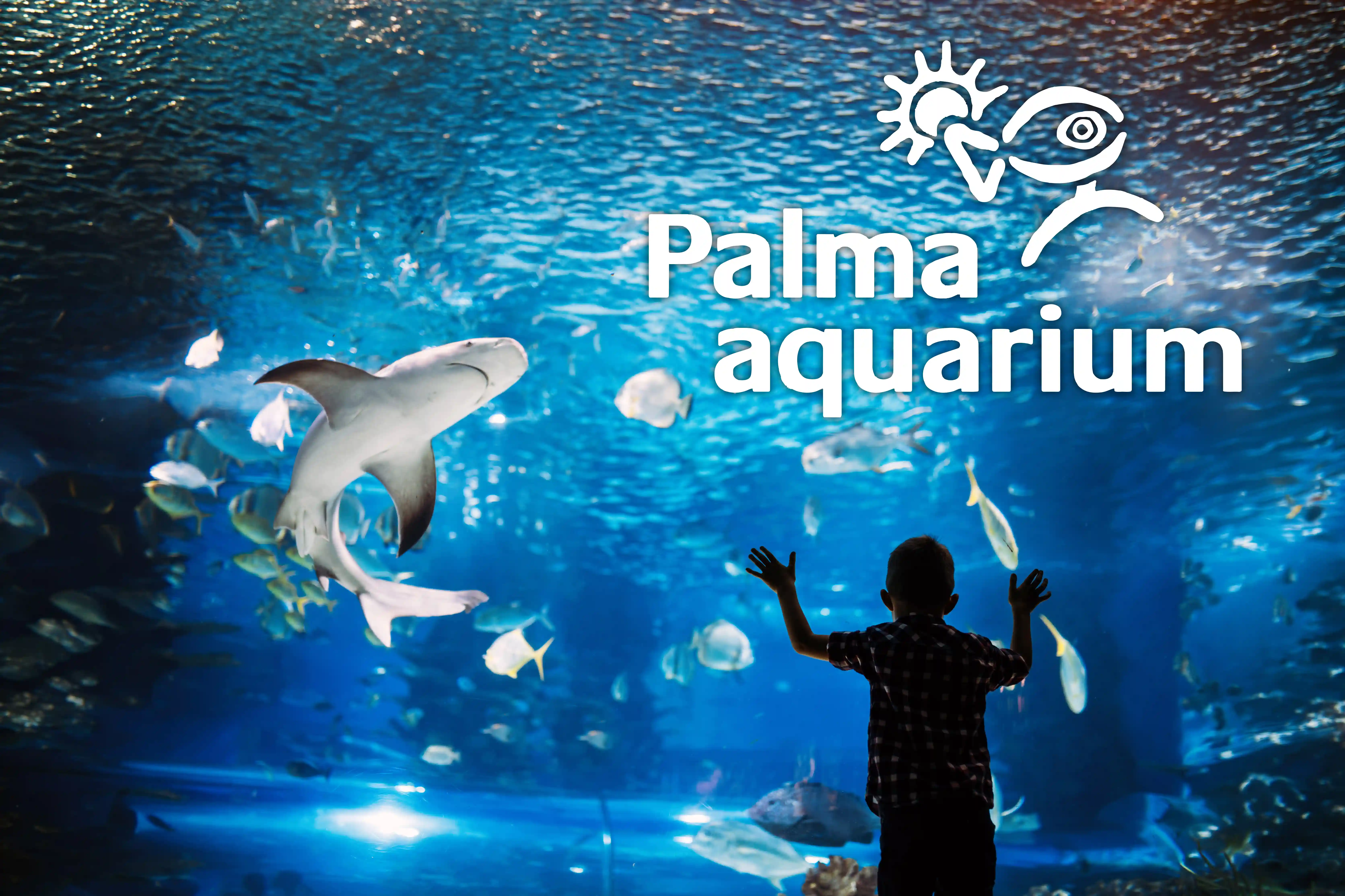 The Palma Aquarium logo superimposed over a silhouette of a boy watching a shark and fish swim in a large tank.