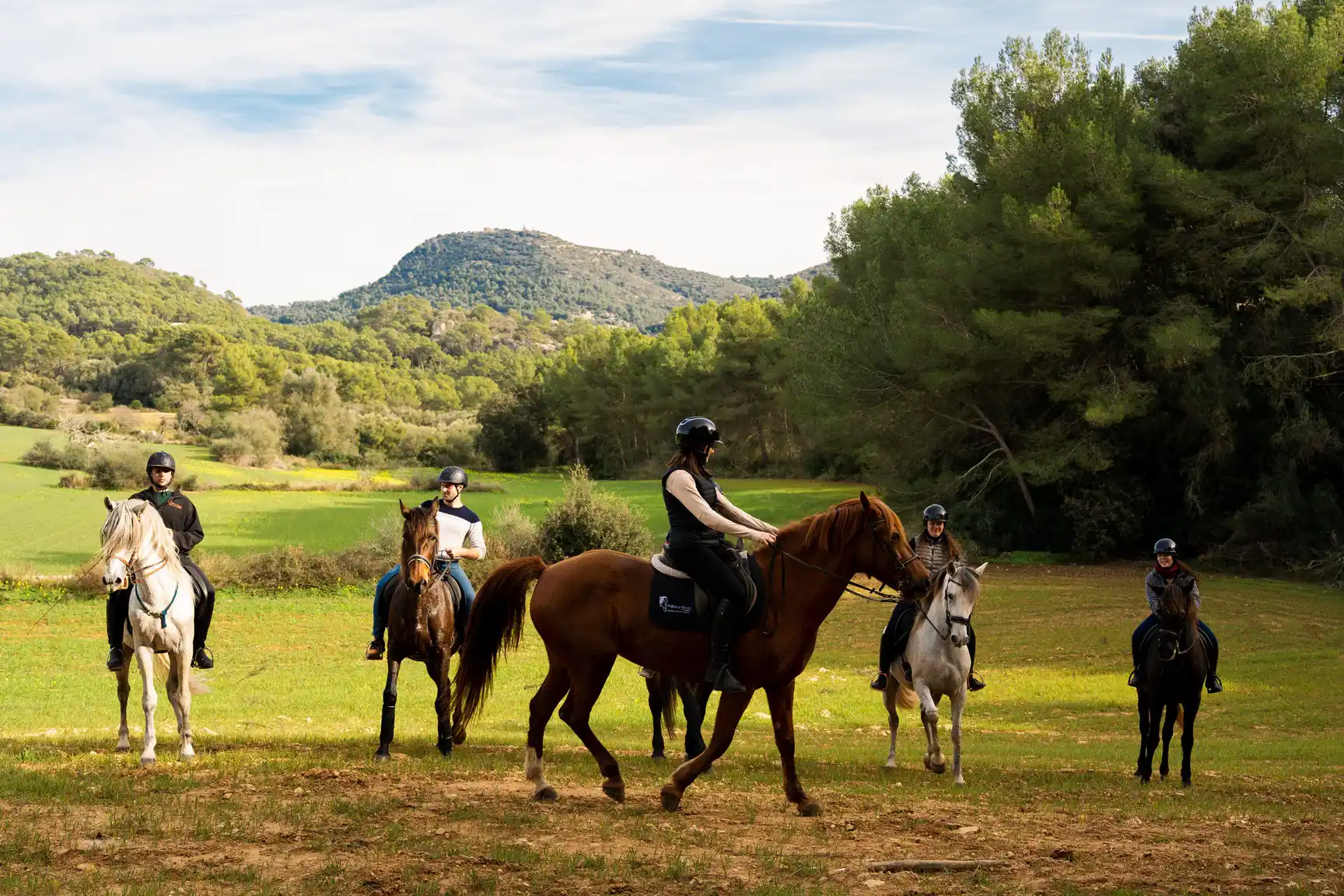 A group of people riding horses lined up along a green meadow next to a lush forest under a blue sky.