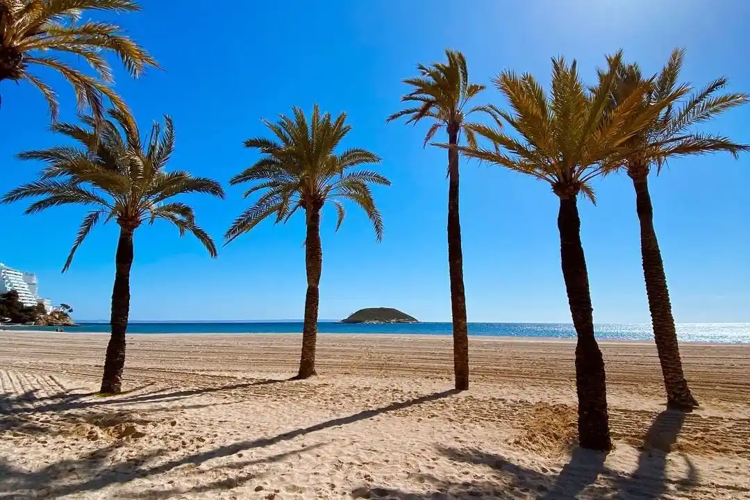 Tall palm trees stand on a sandy beach overlooking the calm blue sea with a small island in the distance.