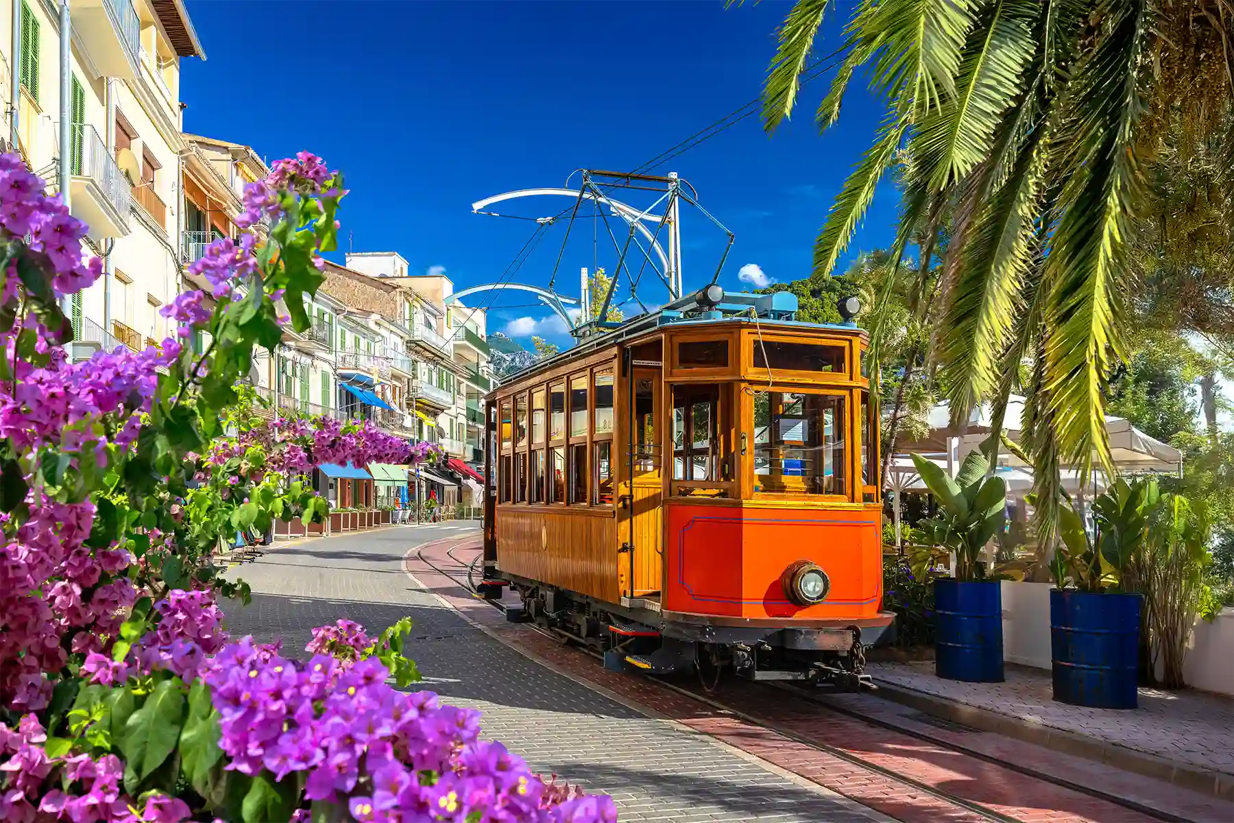 A vintage wooden tram moves down a sunny street lined with colorful buildings and bright purple flowers.