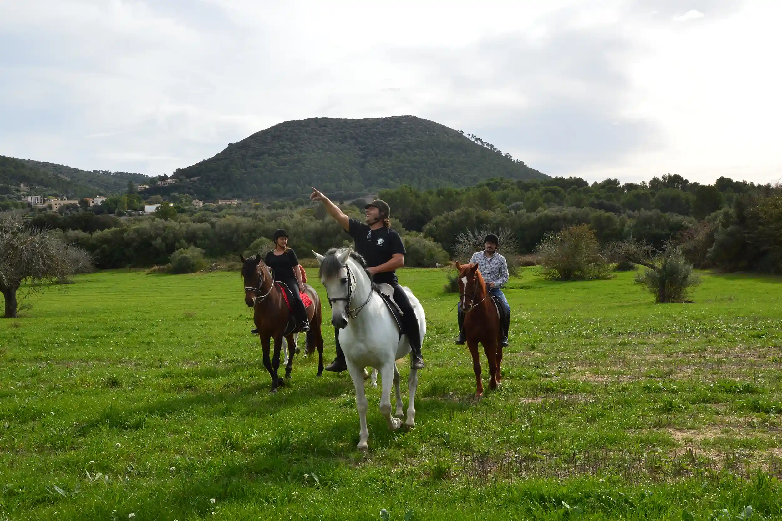 People on a horse riding tour across a green meadow with a tree-covered hill in the background.