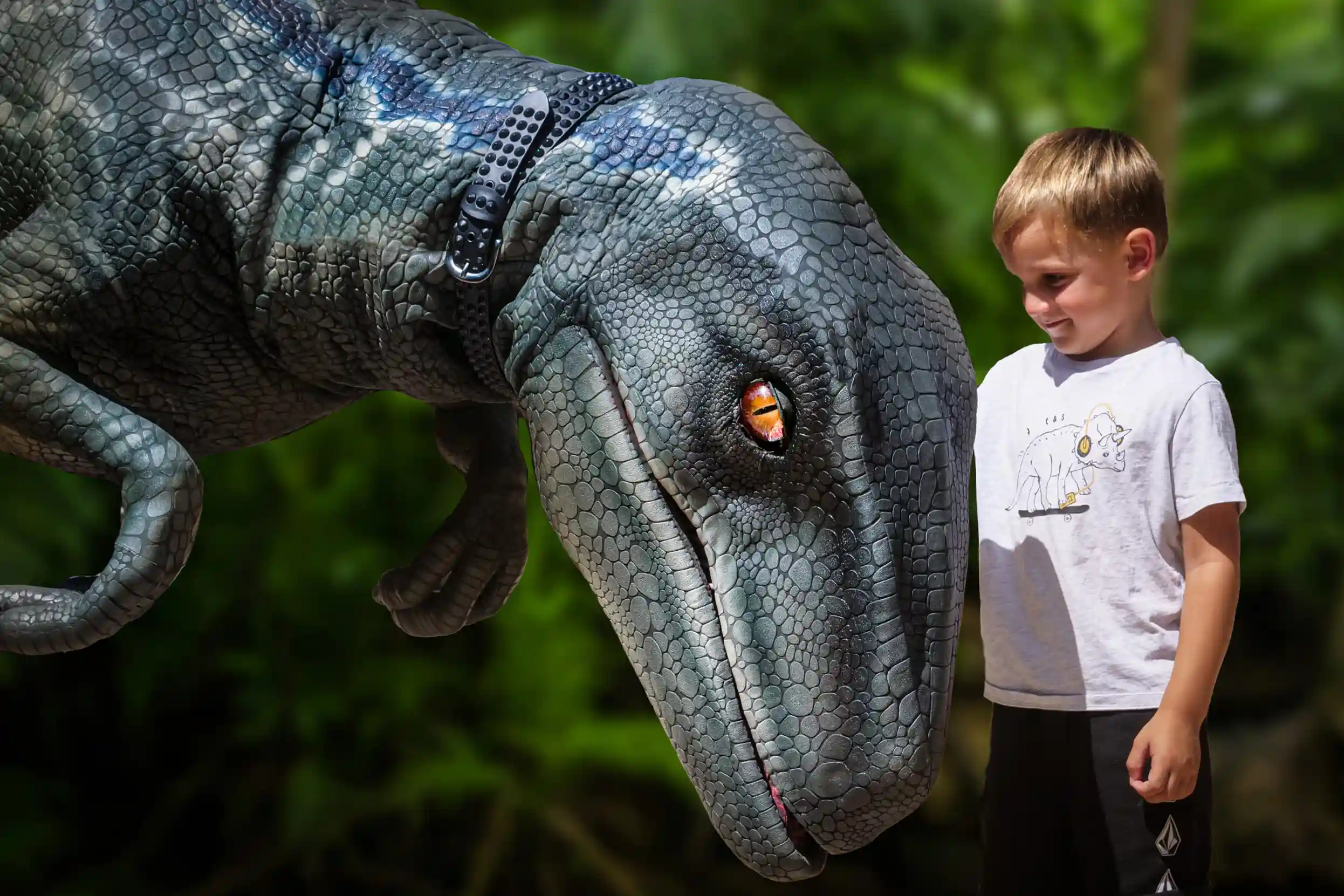 A smiling little boy looks at a realistic grey velociraptor animatronic close up in an outdoor setting.