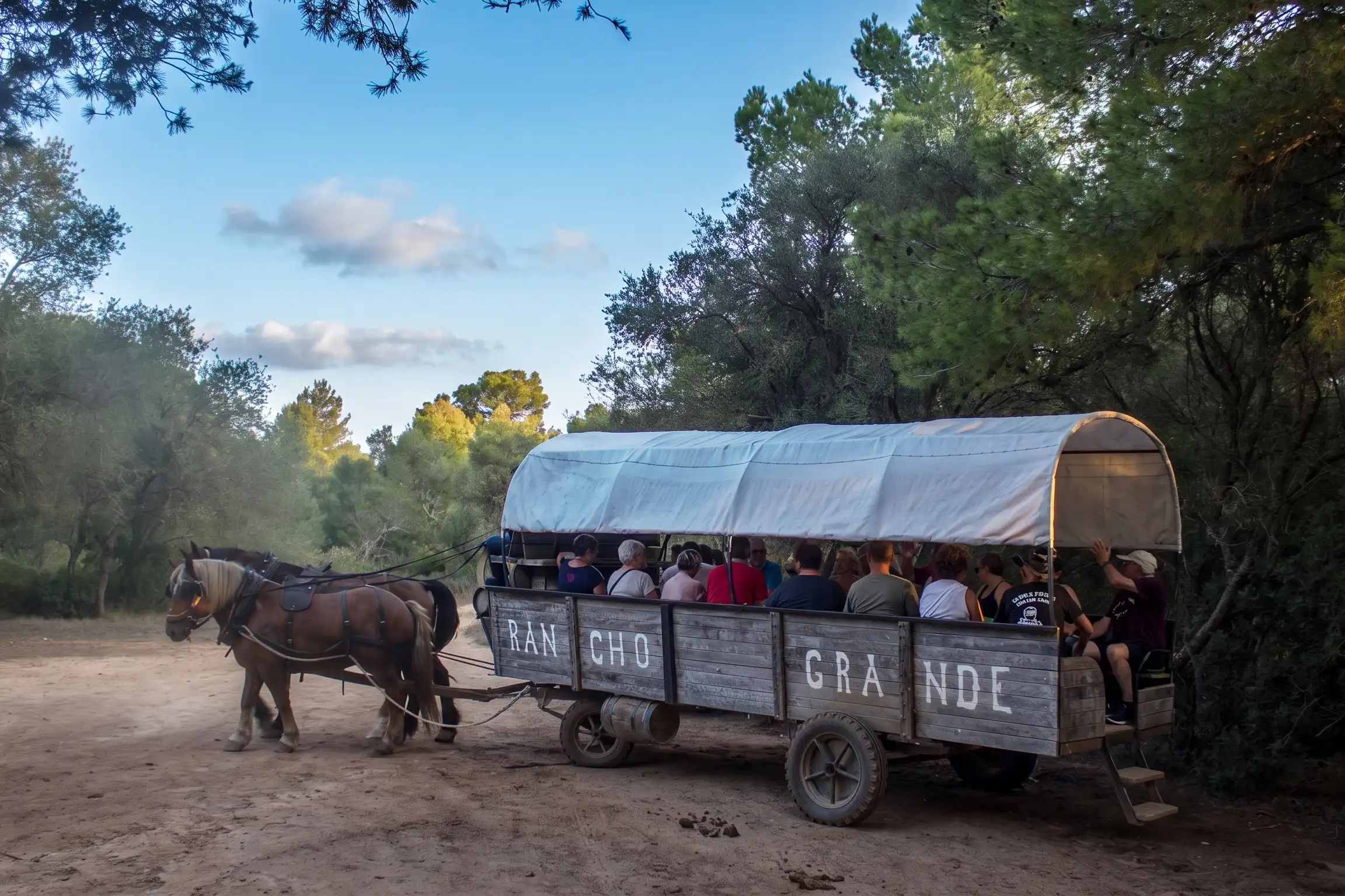 A horse-drawn wagon full of people traveling through a forest at Rancho Grande in Mallorca. A horse-drawn wagon full of people traveling through a forest at Rancho Grande in Mallorca.