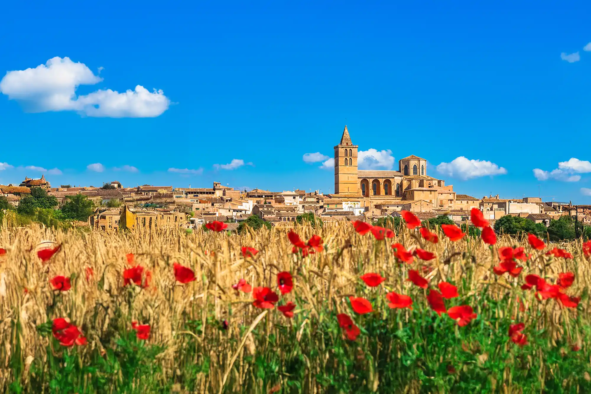 Authentic Mallorca