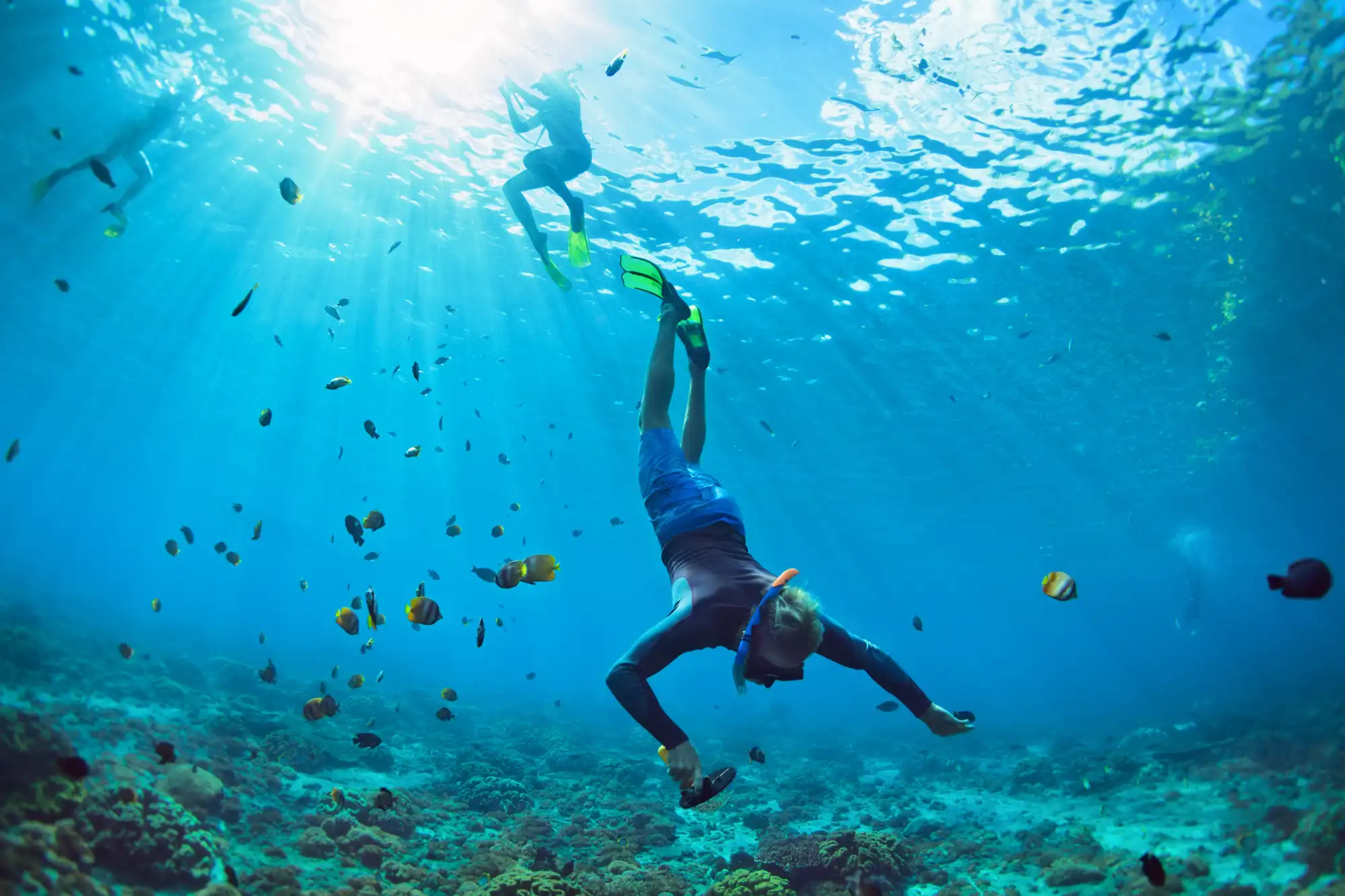 Un plongeur descend dans une eau tropicale bleu clair, entouré de petits poissons colorés et de récifs. Un plongeur descend dans une eau tropicale bleu clair, entouré de petits poissons colorés et de récifs.