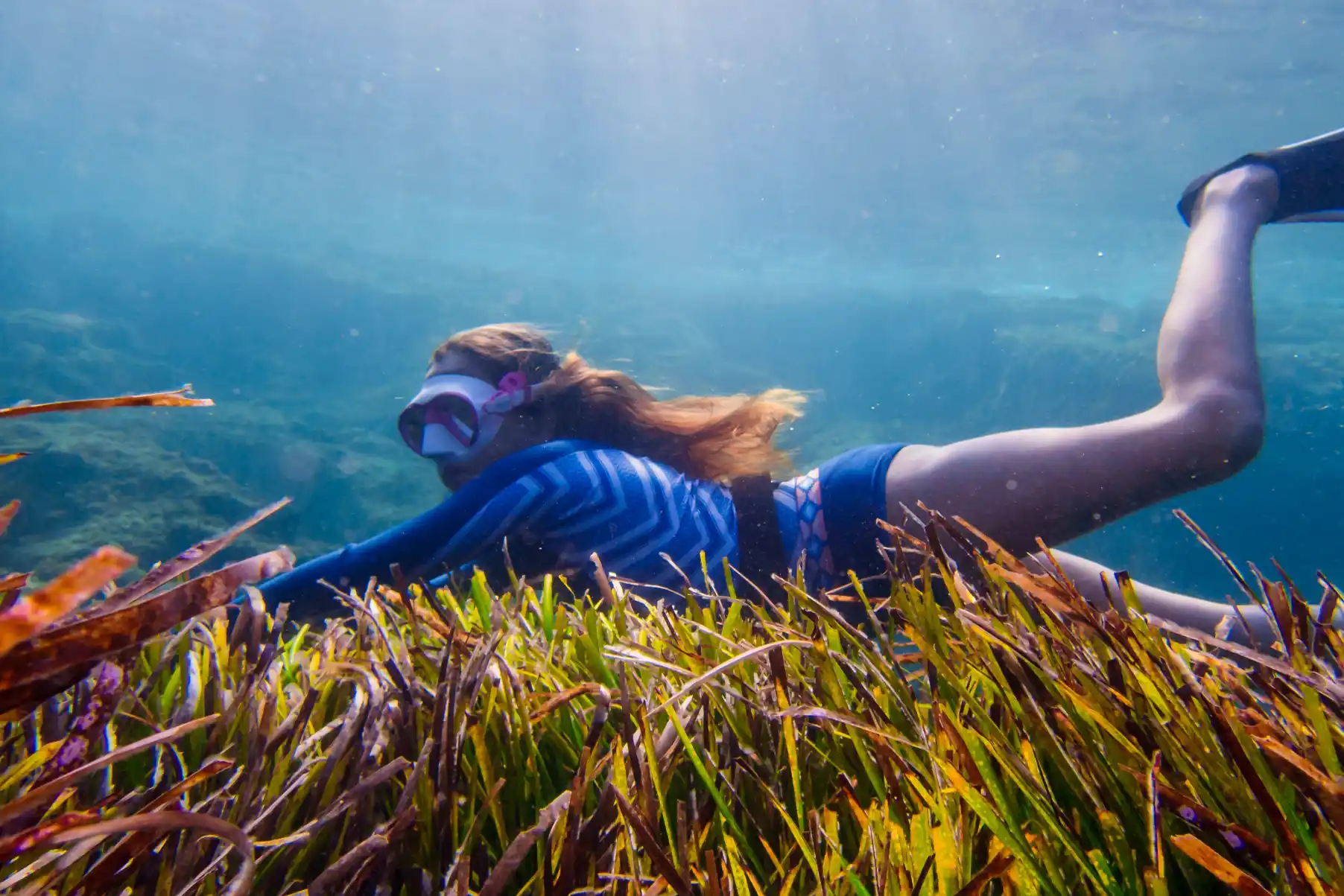 A snorkeler swims underwater over a lush seabed of green and brown seagrass illuminated by soft sunlight.