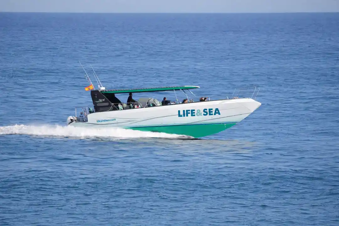A motorboat named Life at Sea cruises quickly across the calm blue ocean water with passengers on board.