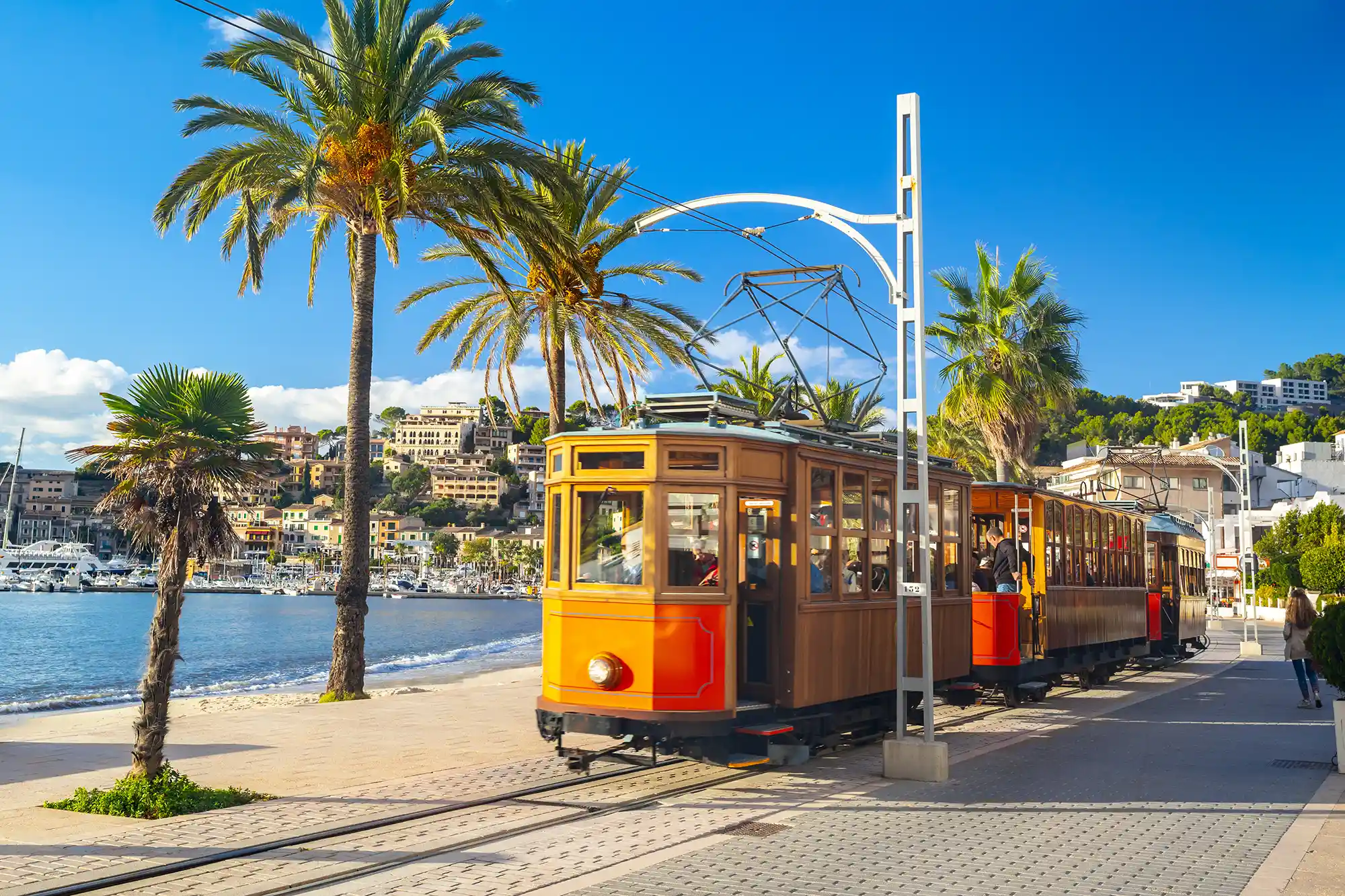 A vintage wooden tram runs along a coastal promenade next to palm trees on a sunny day.