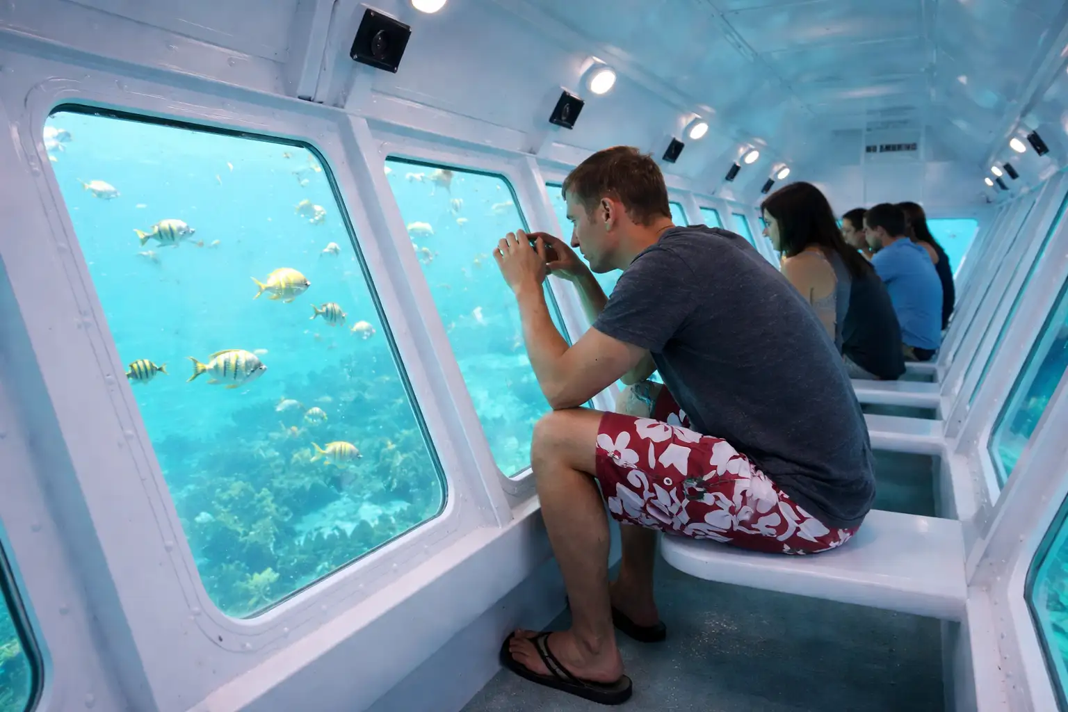 Tourists inside a glass-bottom boat looking at yellow fish swimming in the turquoise ocean water. Tourists inside a glass-bottom boat looking at yellow fish swimming in the turquoise ocean water.
