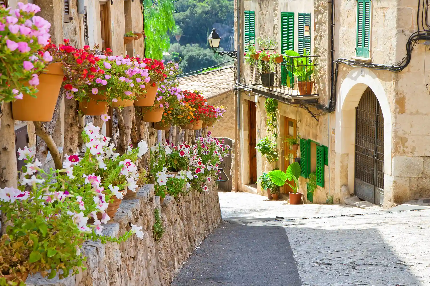Valldemossa and Port de Soller