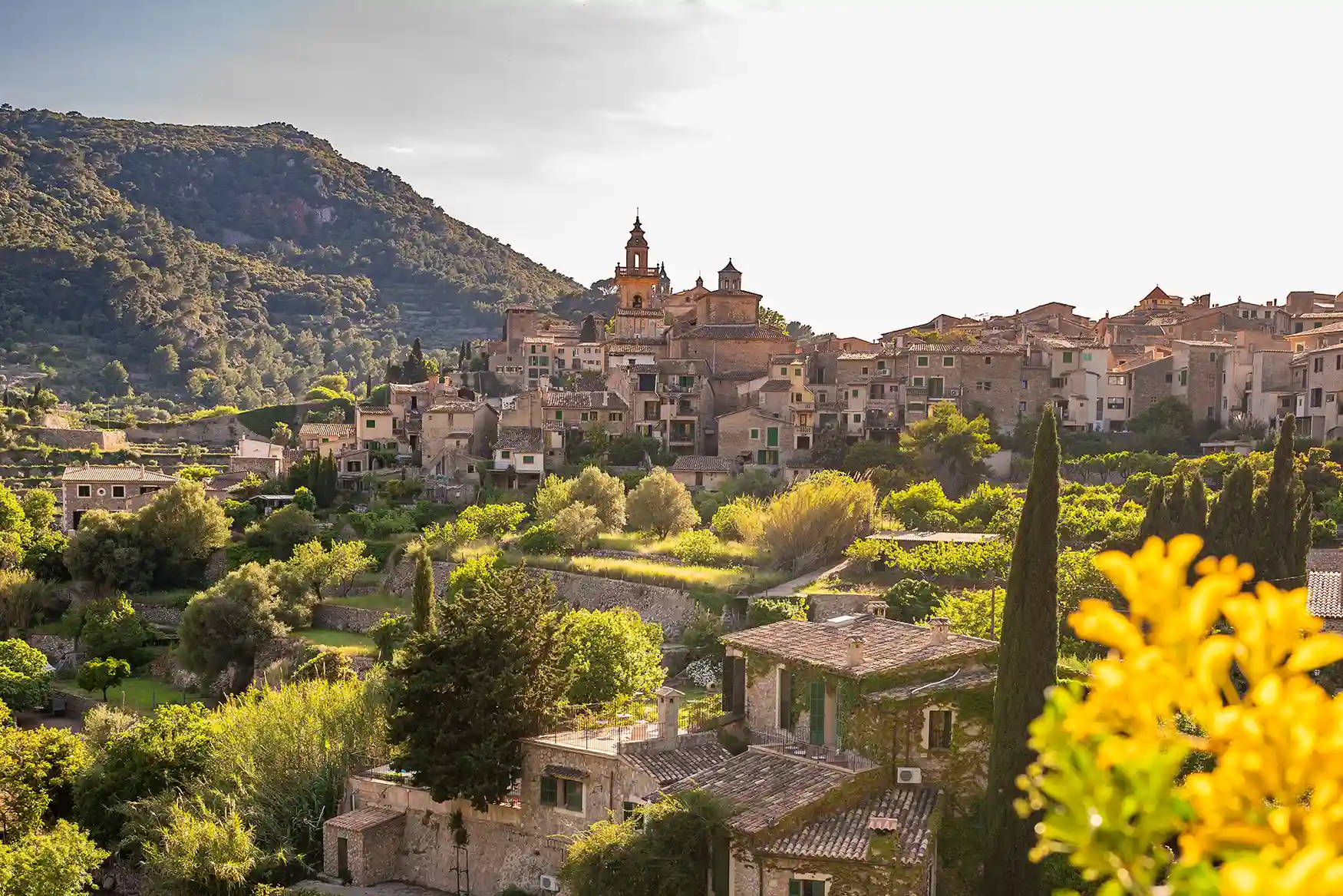 A scenic view of the historic mountain village of Valldemossa surrounded by lush green hills and trees under a bright sky in Mallorca.